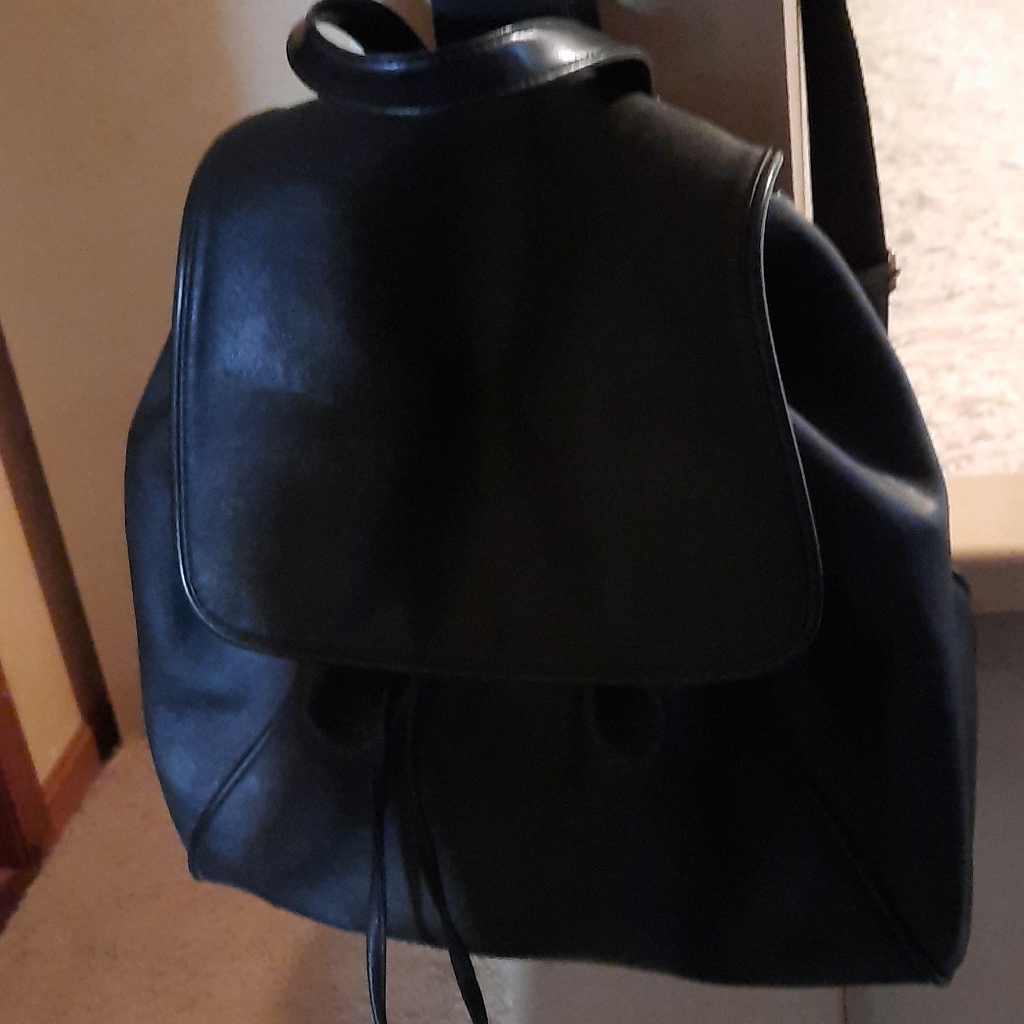 Bagpack Purse